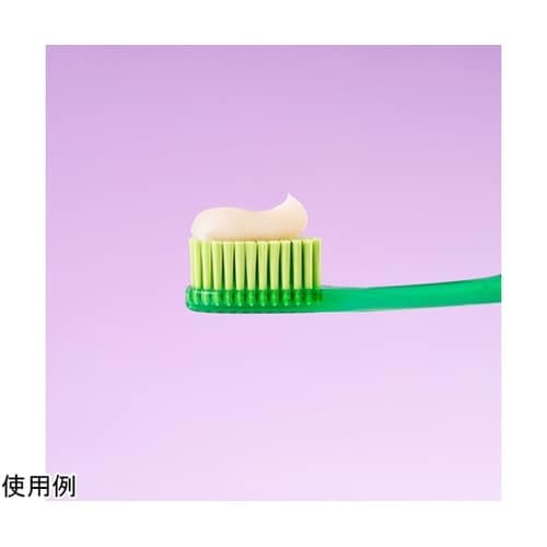ロックスPRO歯みがき ジュニア チョコ