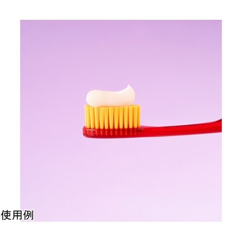 ロックスPRO歯みがき ジュニア ベリー