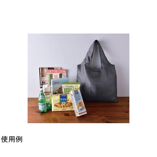 ザ・バッグ(肩掛けタイプ)#sustai