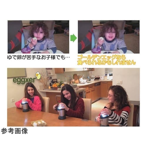 エグザー eggxer(egglogix