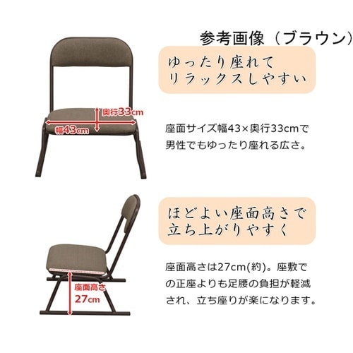 楽座椅子 ロータイプ ブラック RCL−