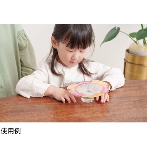 STEAM教具 グラデーションフラワー