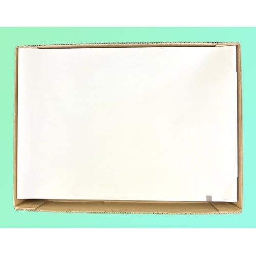 心電図記録紙 210mm巾×300mm折