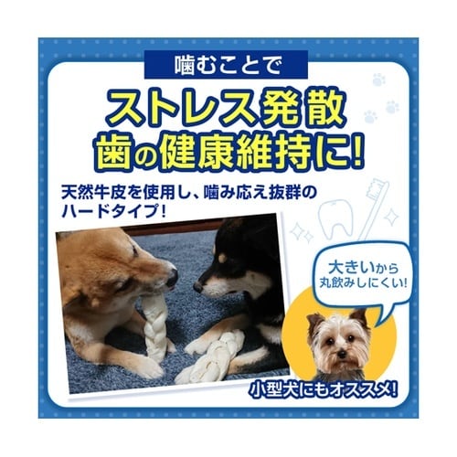 ペットプロ BIGガム スティック型 4