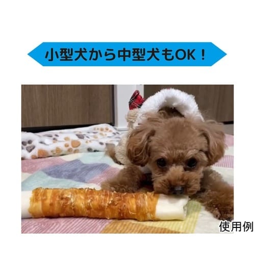 ペットプロ BIGガム ささみ巻き 1本