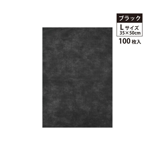 不織布インナーバック 薄タイプ ブラック