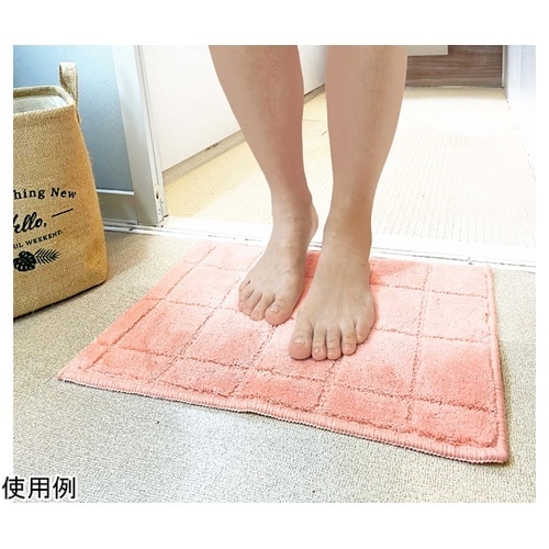 日本製 抗菌防臭&吸水速乾バスマット レ