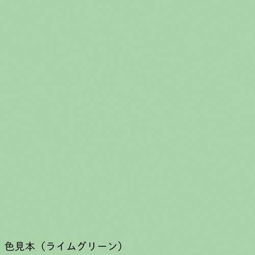 カラフル心エコー検査台 TE−7018L