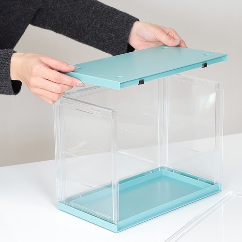 コレクションケース hina Mint