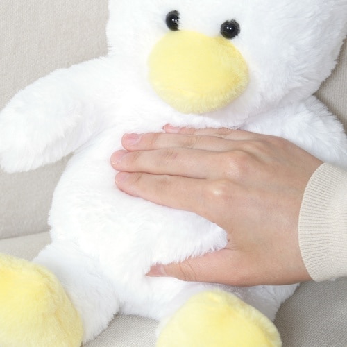 ぬいぐるみ あひる 25cm WH*YE 6個