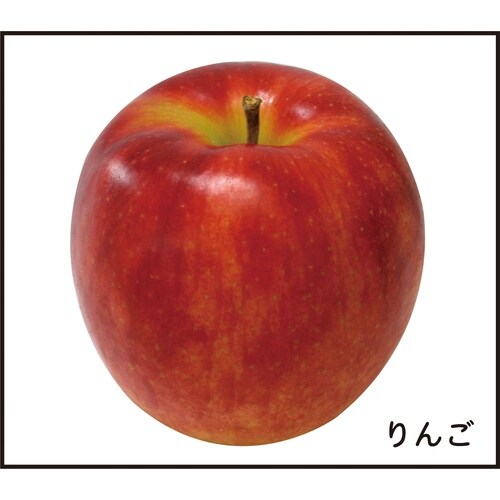 6つの基礎食品群カード