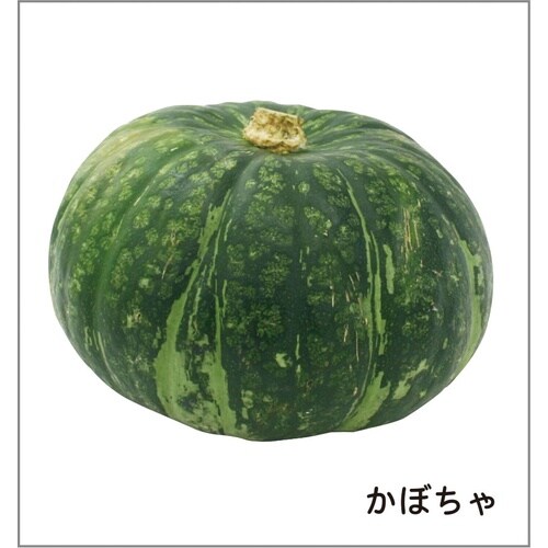 食材カード(264枚組) 小学校セット