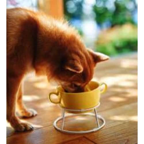 ペット Food bowl stand M