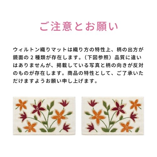 パシオーネ 吸着 60×110 玄関マット