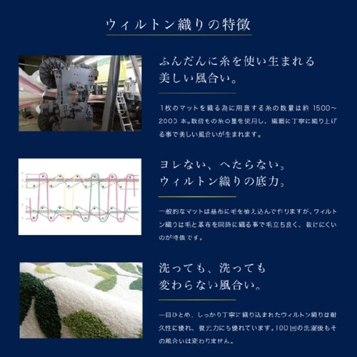 パシオーネ 吸着 60×110 玄関マット