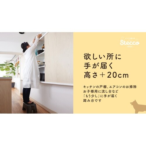 EPP製ソフトな踏台 STECCO オフブラック