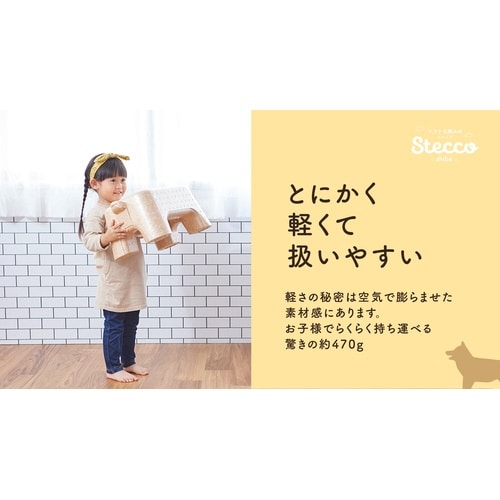EPP製ソフトな踏台 STECCO ブラウン