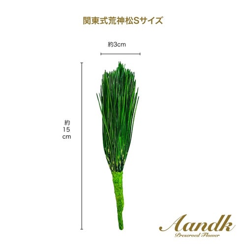 関東式荒神松S(1束)