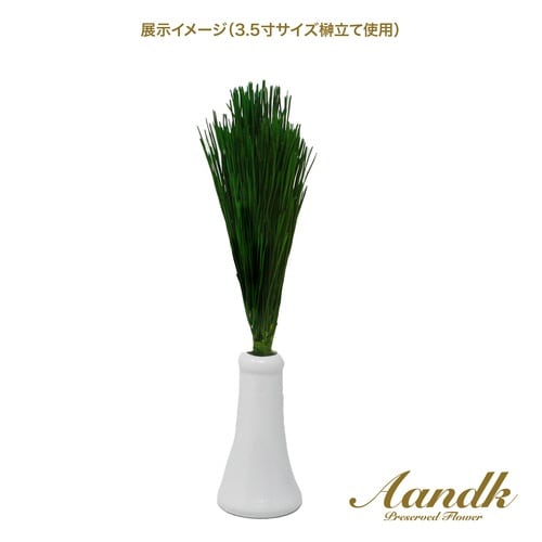 関東式荒神松M(1束)