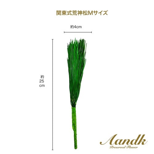 関東式荒神松M(1束)