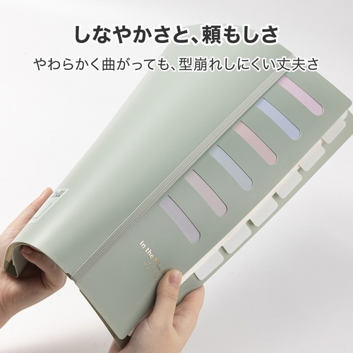 半透明ポケットファイル(6ポケット):ベージュ
