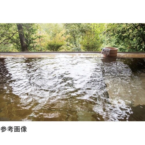 木製湯桶 ひのき銅タガ 防水ガード(クリ