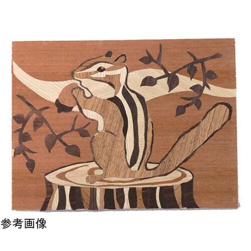 ウッドシート小 10×15 板紙付 1組