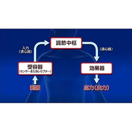 人体の構造と機能 第2巻 生命活動と恒常