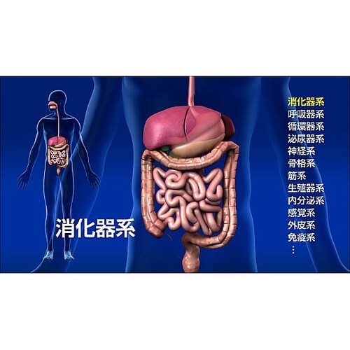 人体の構造と機能 第2巻 生命活動と恒常
