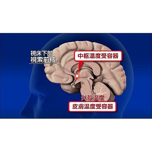 人体の構造と機能 第3巻 生命活動と恒常