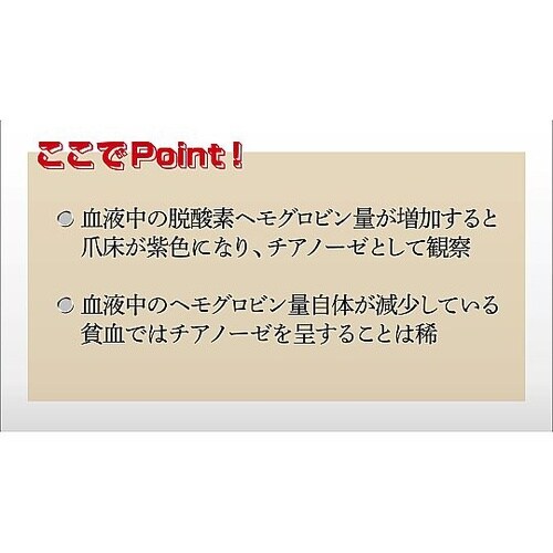 人体の構造と機能 第4巻 皮膚と粘膜 D