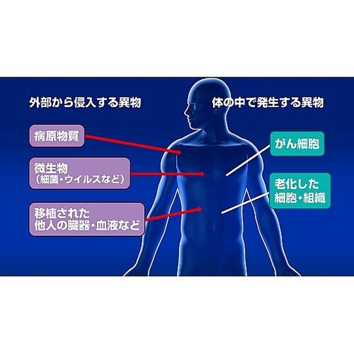 人体の構造と機能 第5巻 生体の防御機能