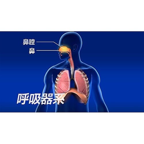 人体の構造と機能 第9巻 呼吸器系(1)