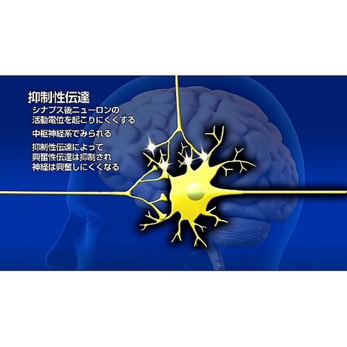 人体の構造と機能 第11巻 神経系(1)