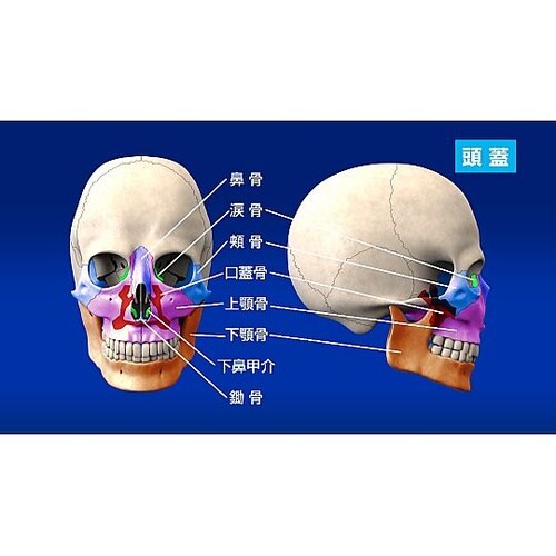 人体の構造と機能 第14巻 運動系(1)
