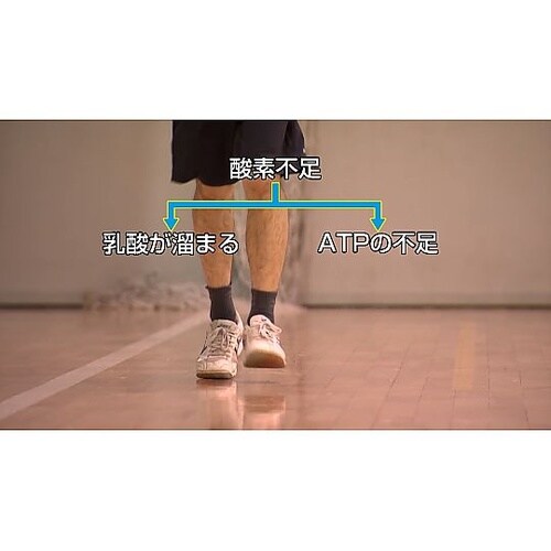 人体の構造と機能 第15巻 運動系(2)