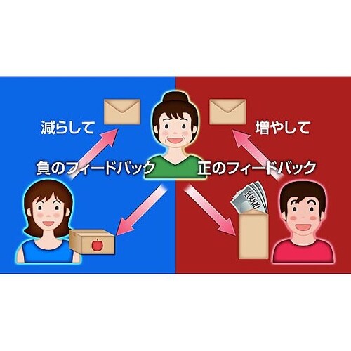 人体の構造と機能 第17巻 内分泌系 D