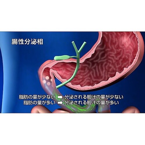 人体の構造と機能 第18巻 消化器系 D