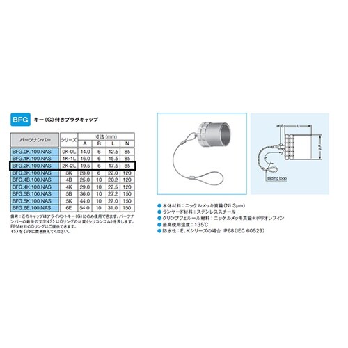 BFG.2K.100NASプラグキャップ