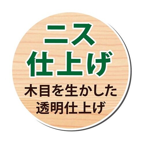297644002300 速乾ニスA