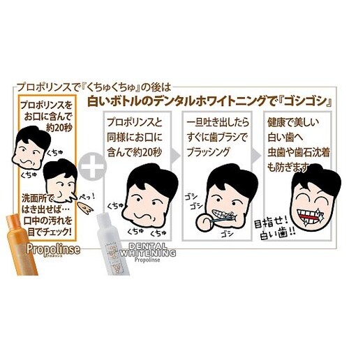 プロポリンスデンタル 150mL 60本