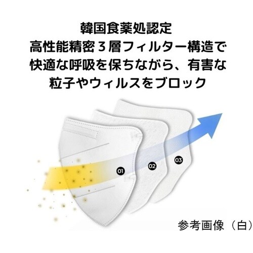 aloha KF94マスク(黒) 100