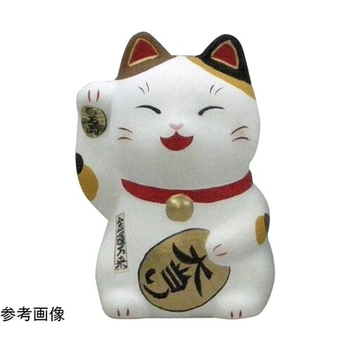 らくがき貯金箱 招き猫 60個入 28−
