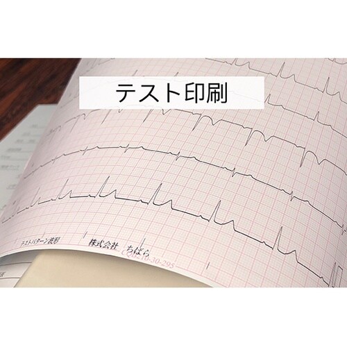 心電図記録紙 幅210mm×長300m/