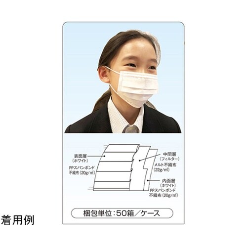 フィット使いきりEXミニマスク177 1