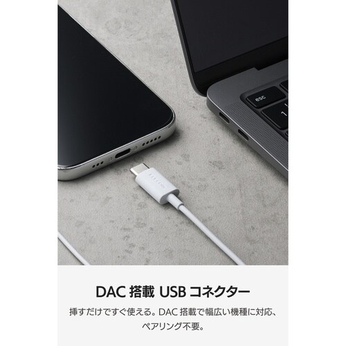USB−Cイヤホン 有線 インナー型 DAC 青