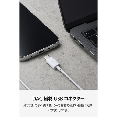 USB−Cイヤホン 有線 インナー型 DAC 白