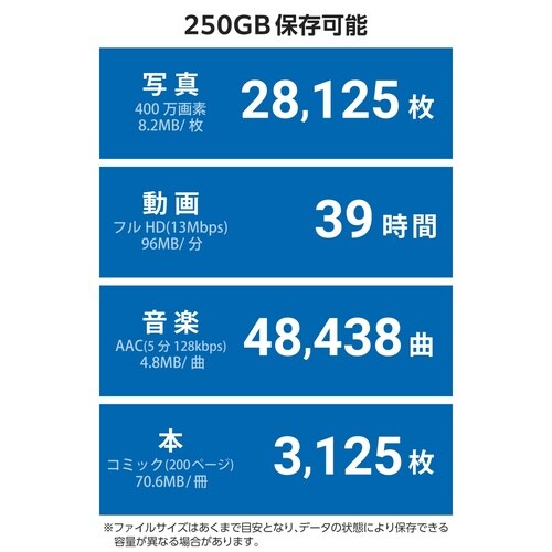 外付けSSD 250GB 直挿しGen2×2 灰