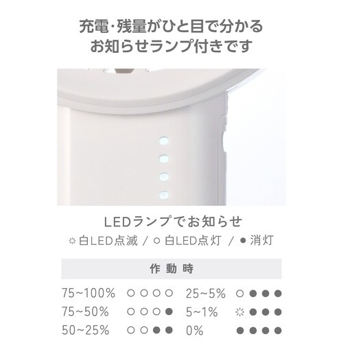 ハンディファン 携帯扇風機 大風量 USBC 白