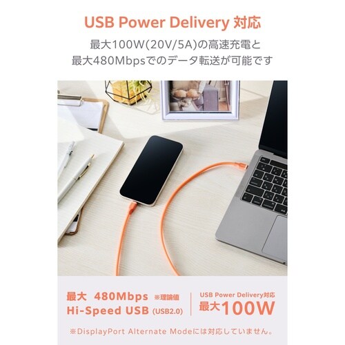 USB−Cケーブル PD100W 1m 橙
